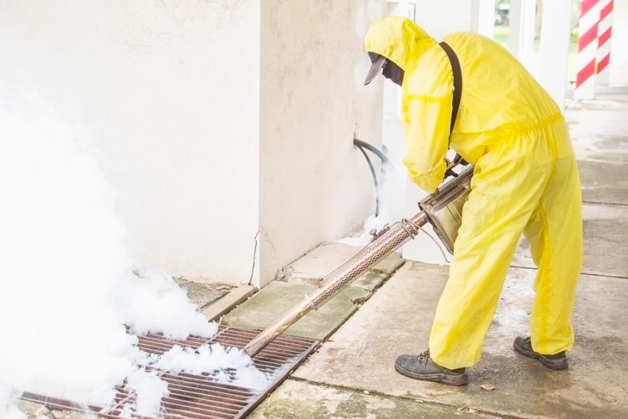 Mold Cleanup Steps