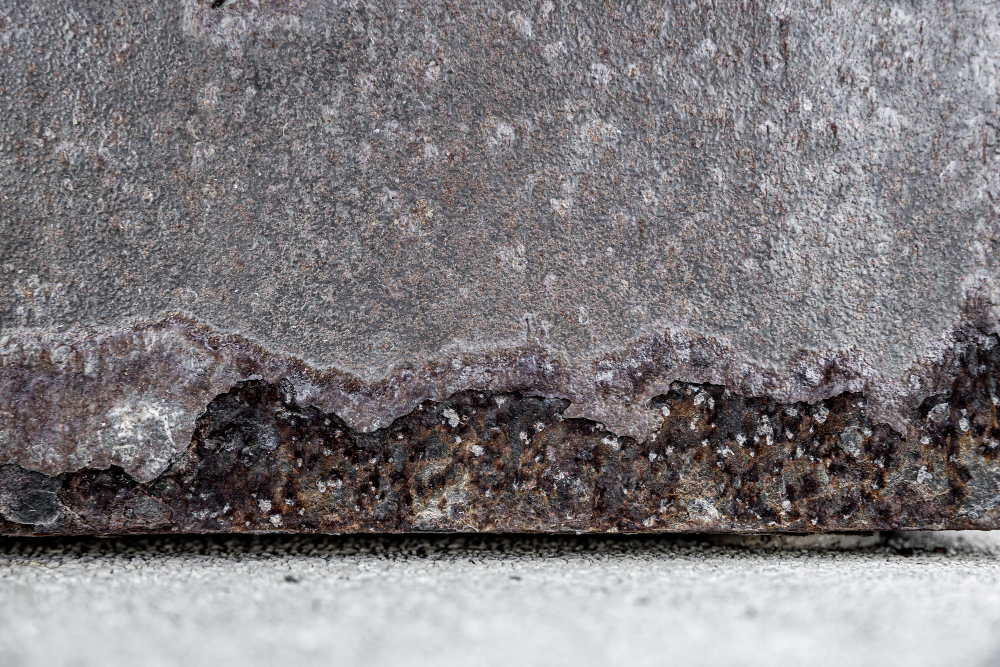 Tips to Remove Mold Under Floorboards - Servekings
