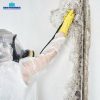 mold removal mississauga
