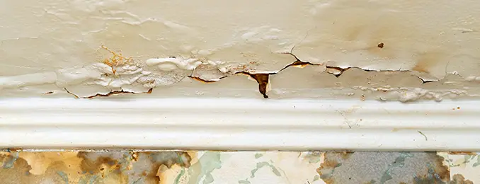 expert storm damage remediation