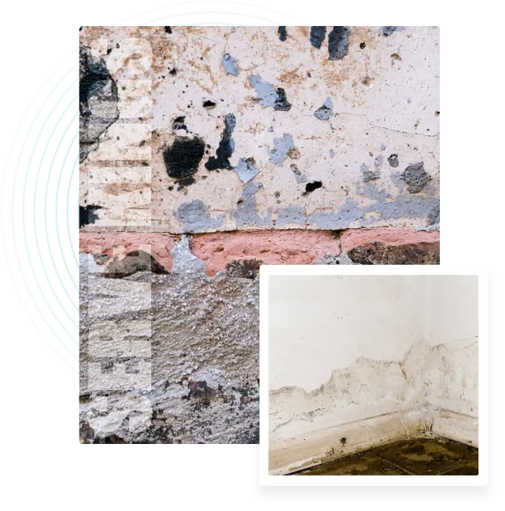 water damage cleanup service near me in Toronto